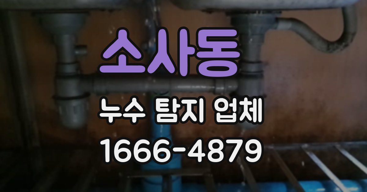 소사동 누수 탐지 업체
