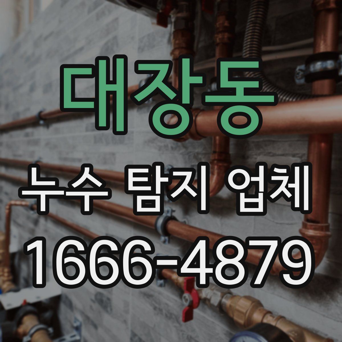대장동 누수 탐지 업체
