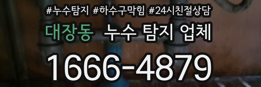 대장동 누수 탐지 업체