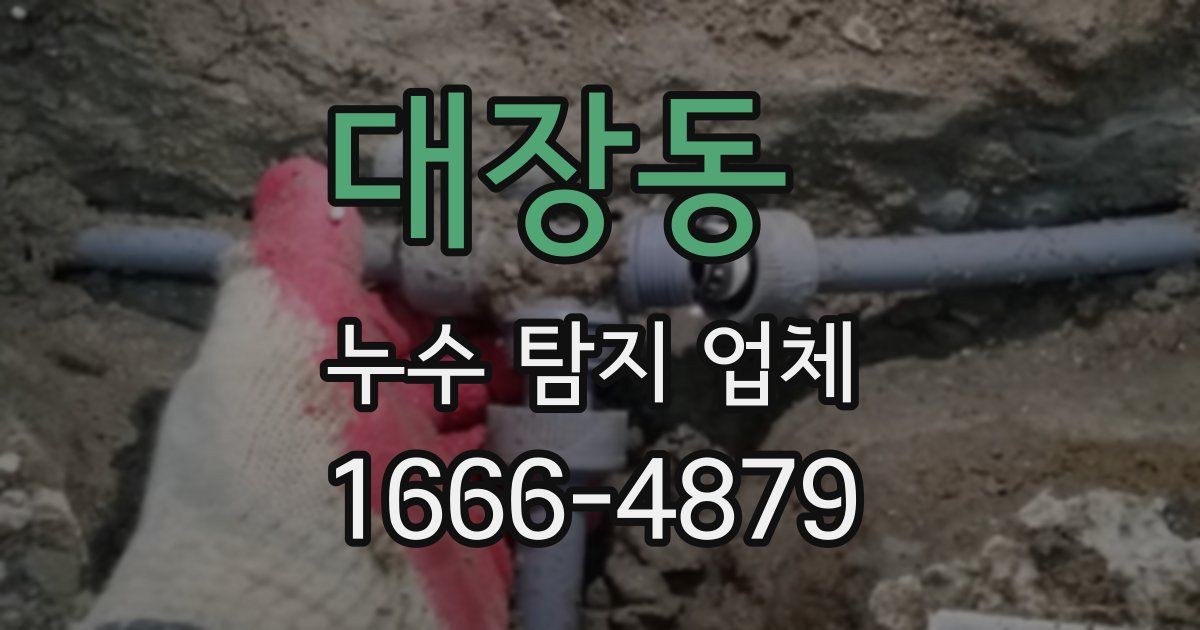 대장동 누수 탐지 업체