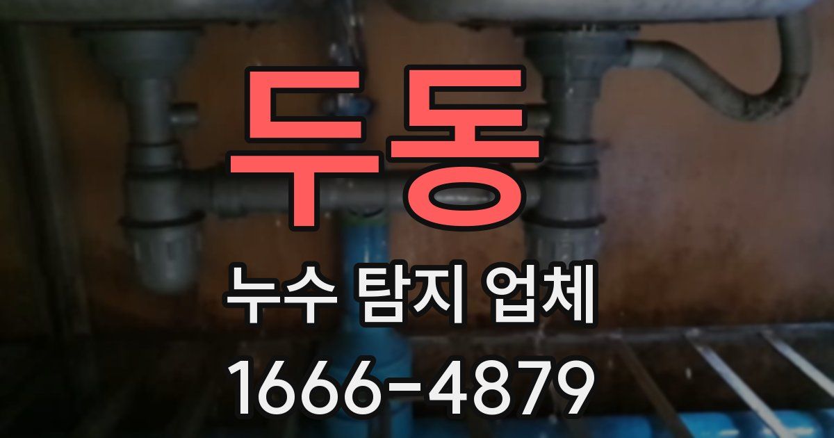 두동 누수 탐지 업체