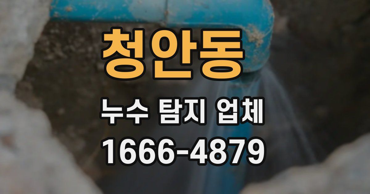 청안동 누수 탐지 업체