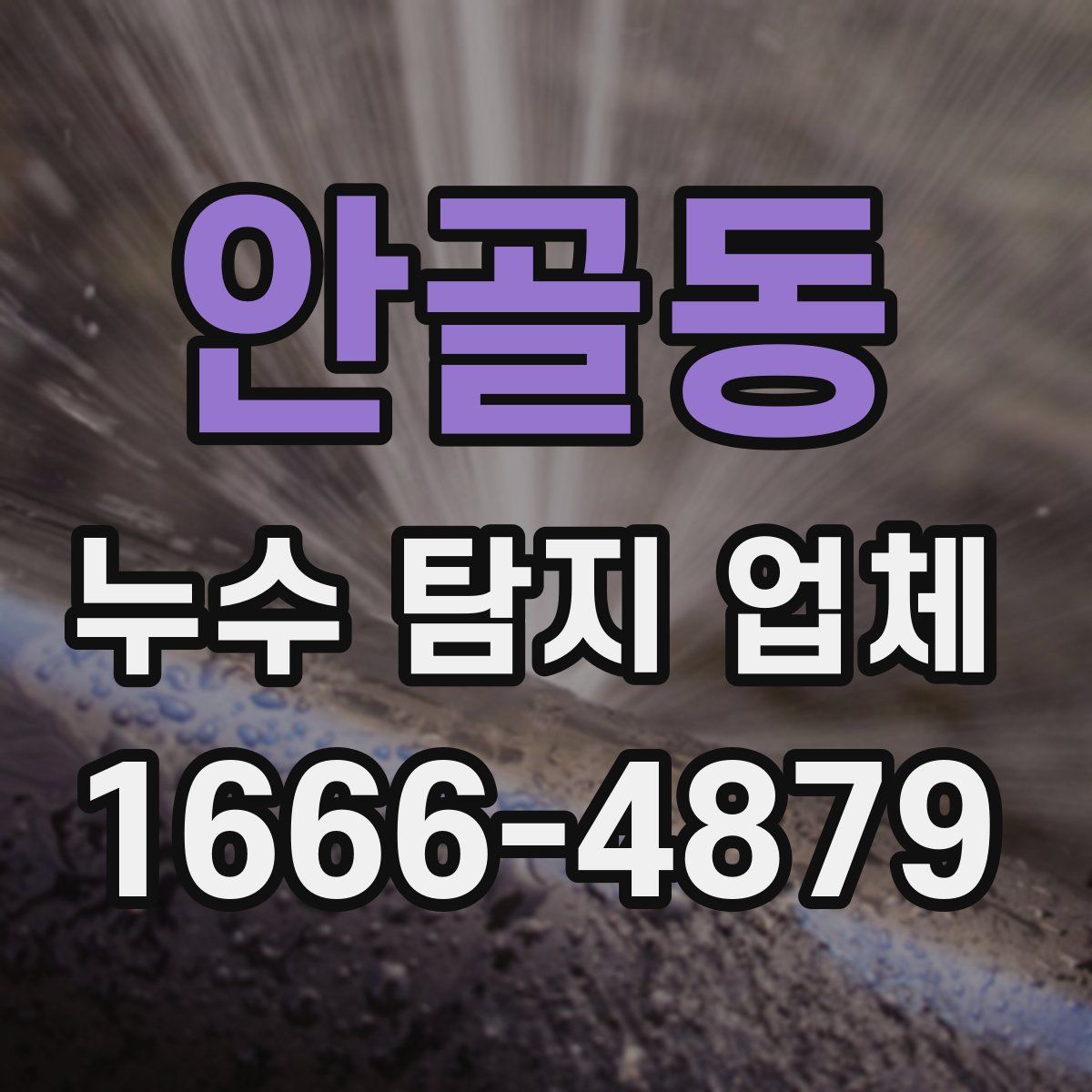 안골동 누수 탐지 업체