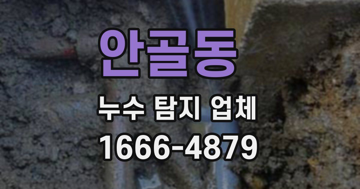 안골동 누수 탐지 업체