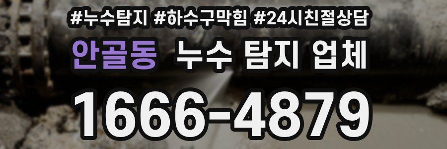 안골동 누수 탐지 업체