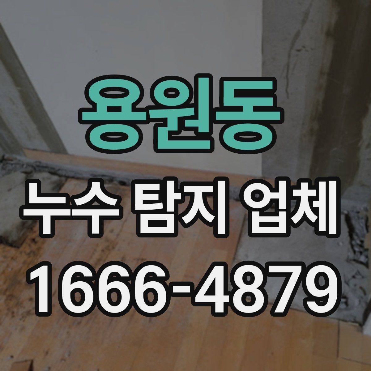 용원동 누수 탐지 업체