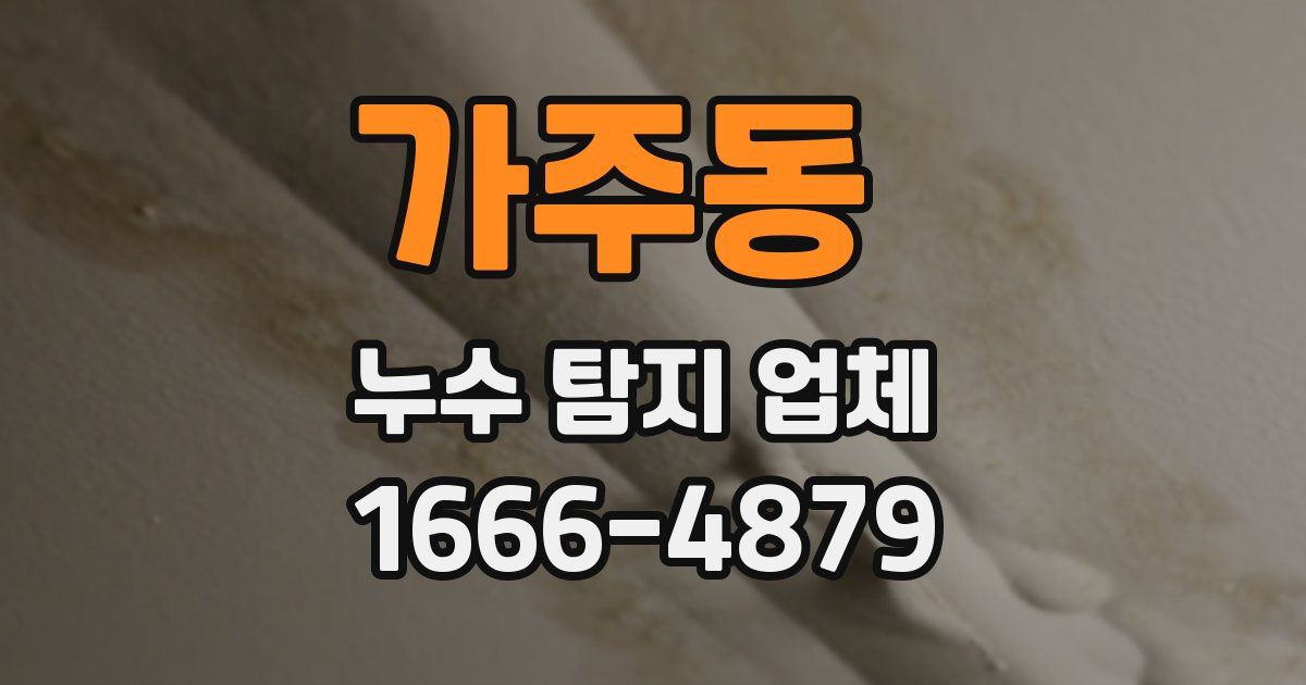 가주동 누수 탐지 업체