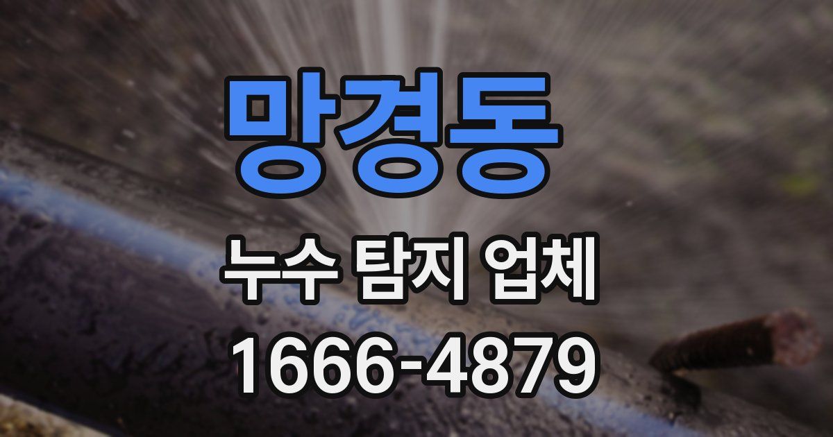 망경동 누수 탐지 업체