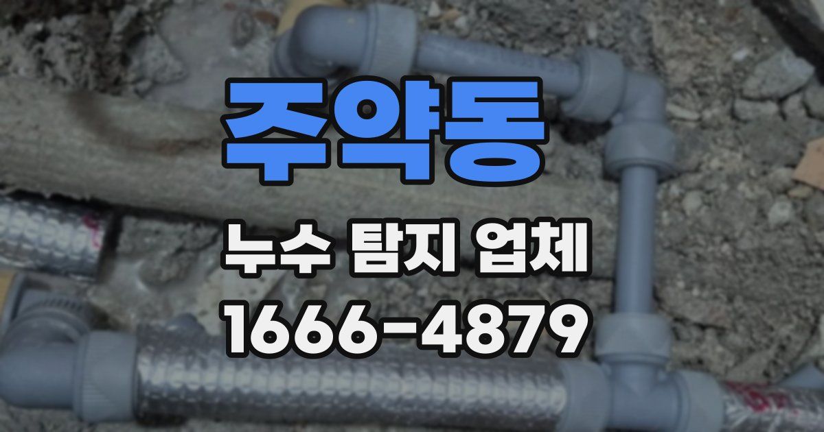 주약동 누수 탐지 업체