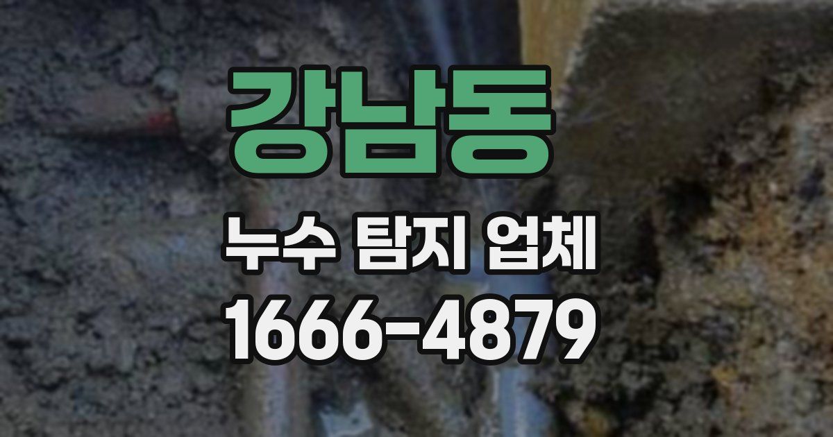 강남동 누수 탐지 업체