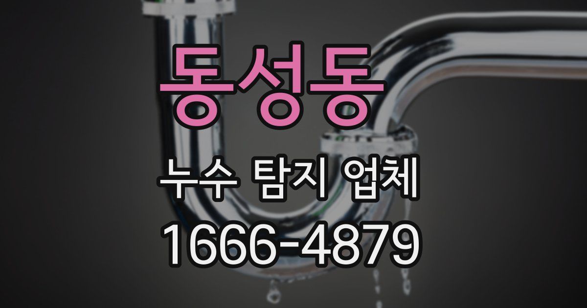 동성동 누수 탐지 업체