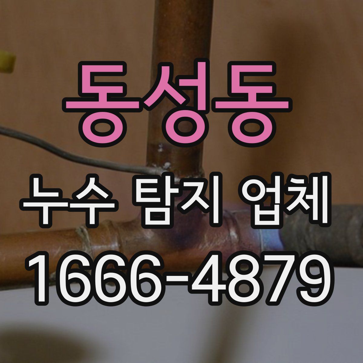 동성동 누수 탐지 업체