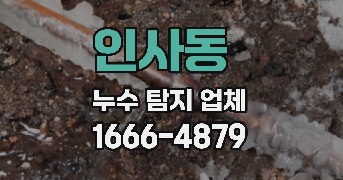 인사동 누수 탐지 업체