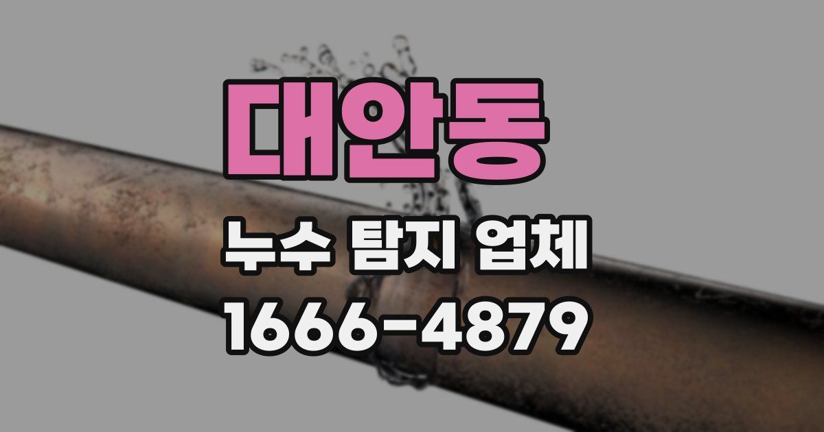 대안동 누수 탐지 업체