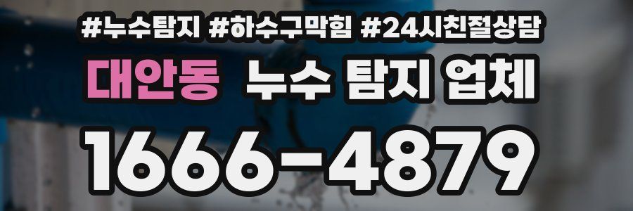 대안동 누수 탐지 업체