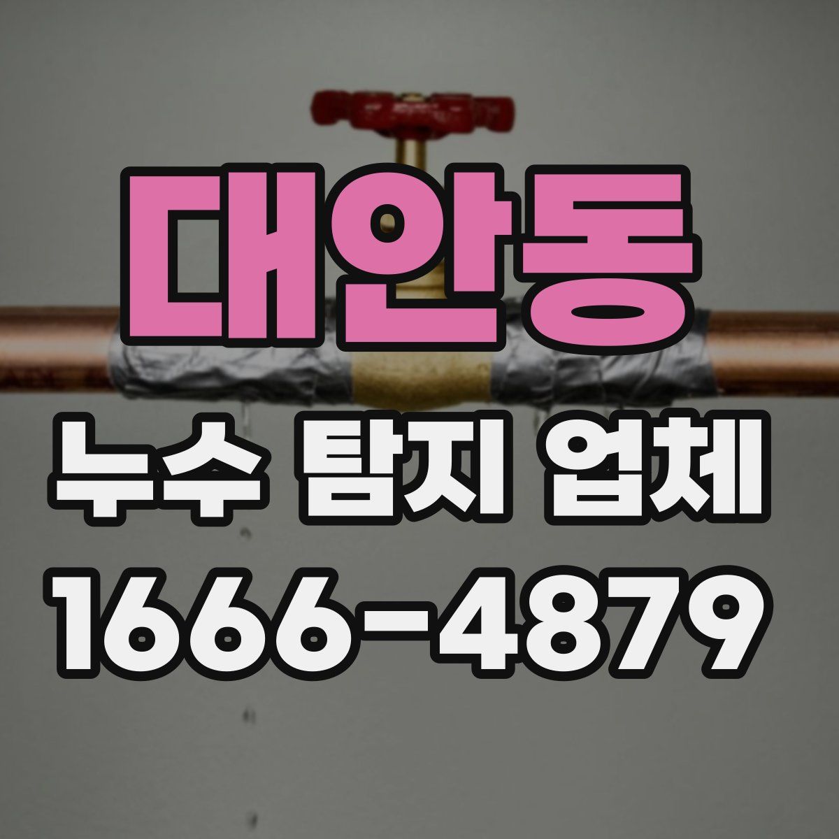대안동 누수 탐지 업체