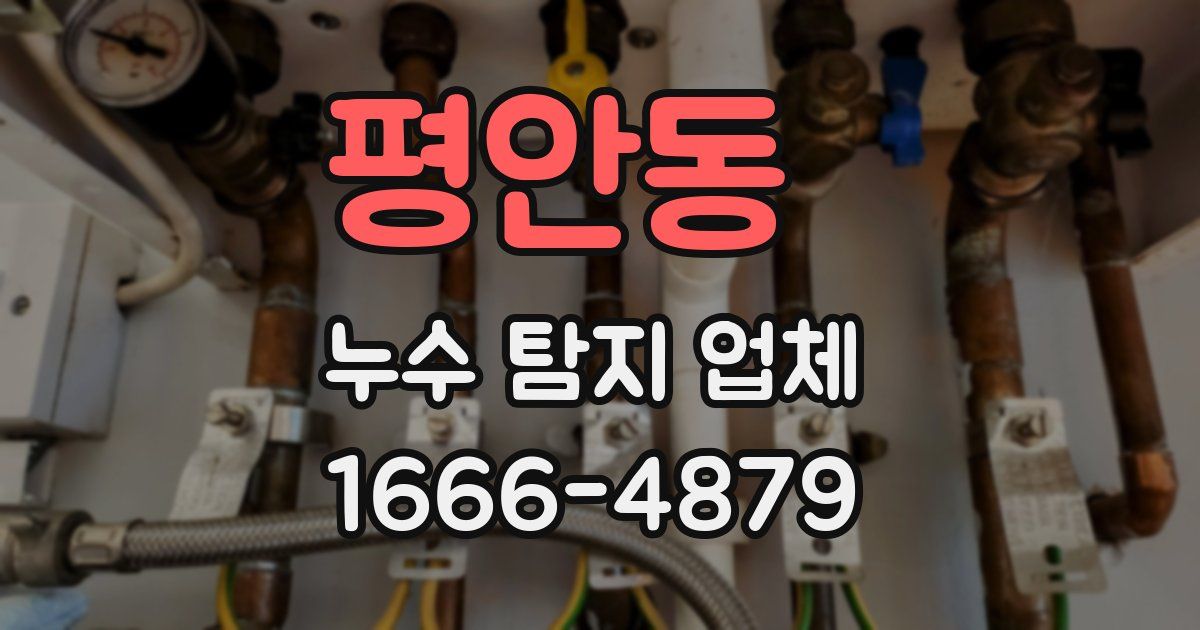 평안동 누수 탐지 업체