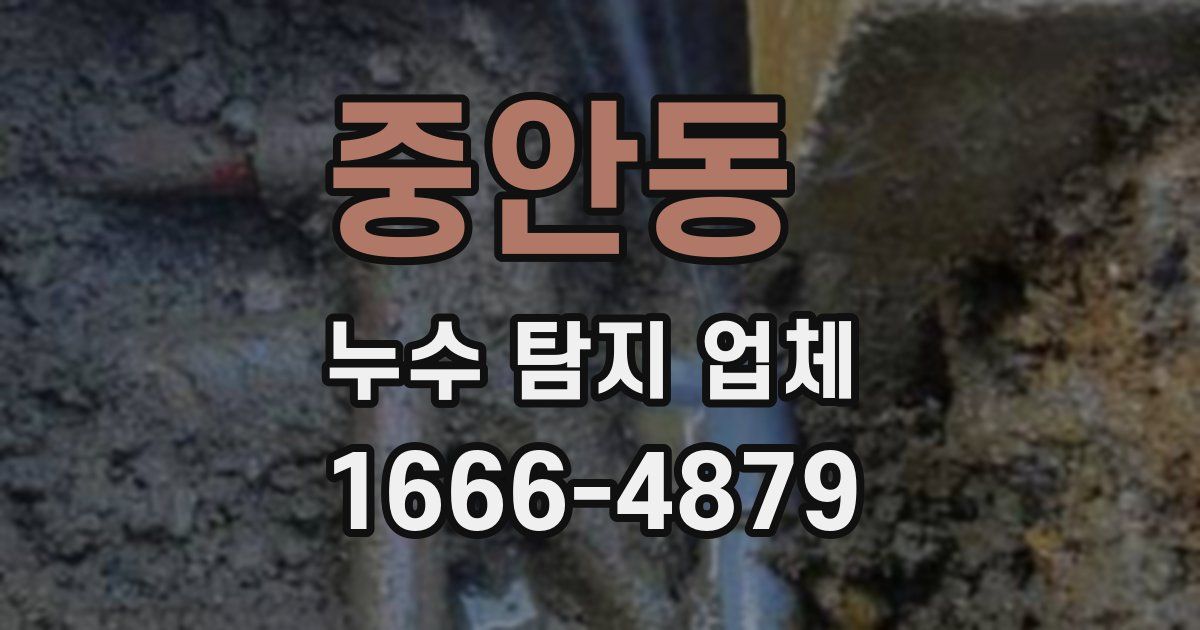중안동 누수 탐지 업체