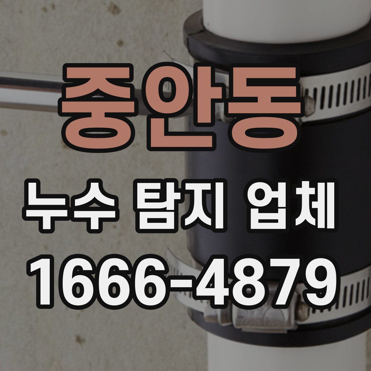 중안동 누수 탐지 업체