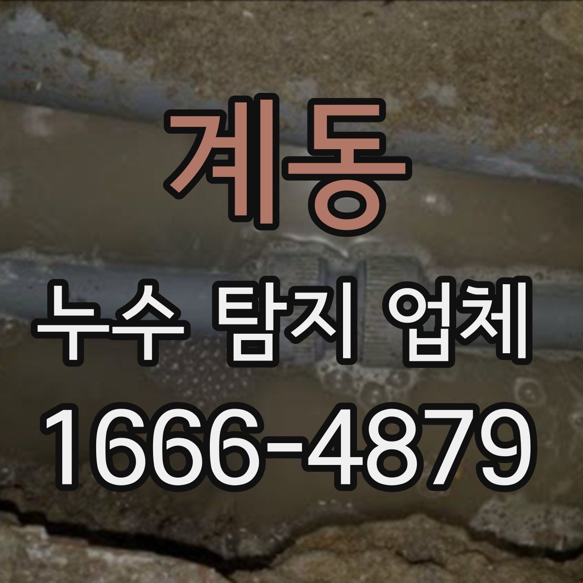 계동 누수 탐지 업체
