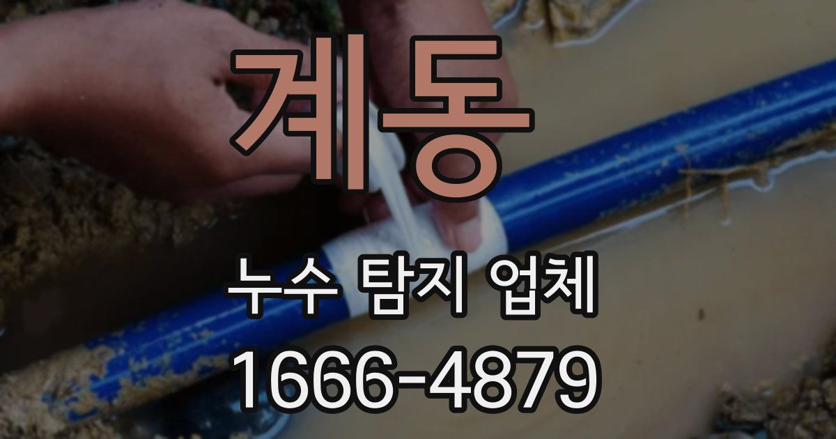 계동 누수 탐지 업체