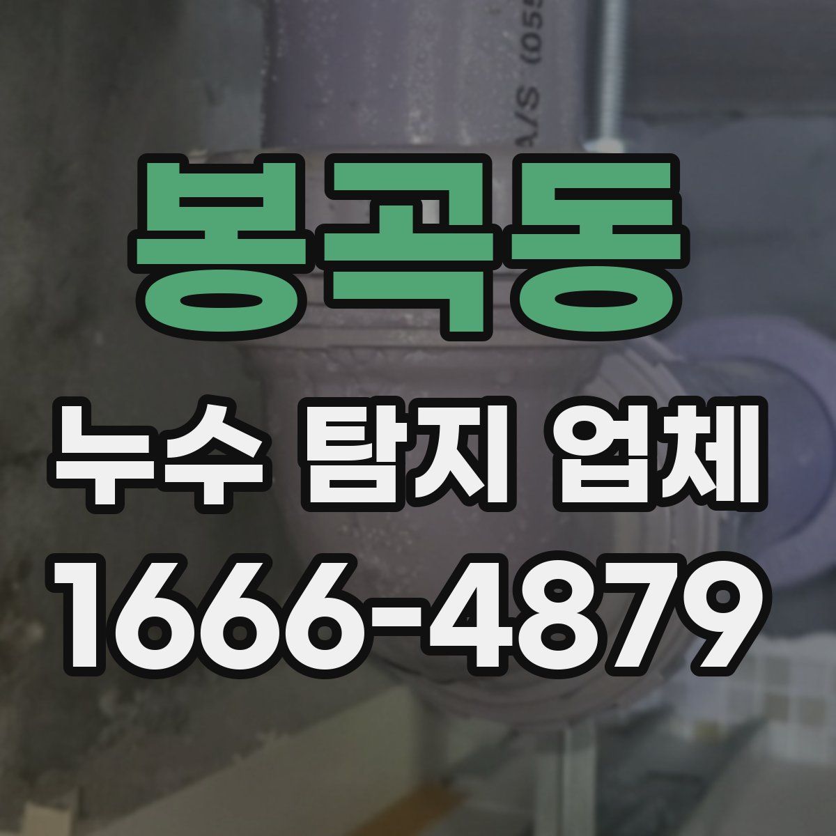 봉곡동 누수 탐지 업체