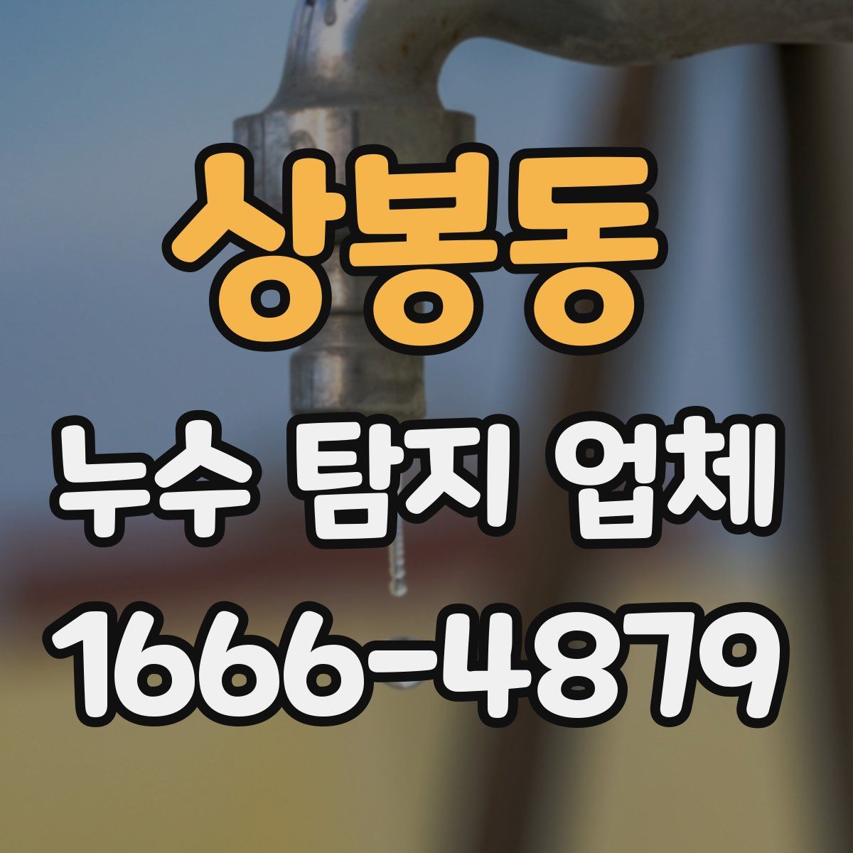 상봉동 누수 탐지 업체