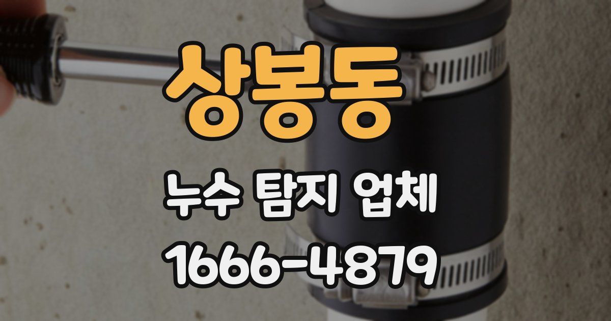 상봉동 누수 탐지 업체