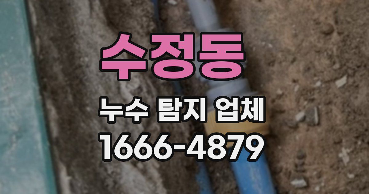 수정동 누수 탐지 업체