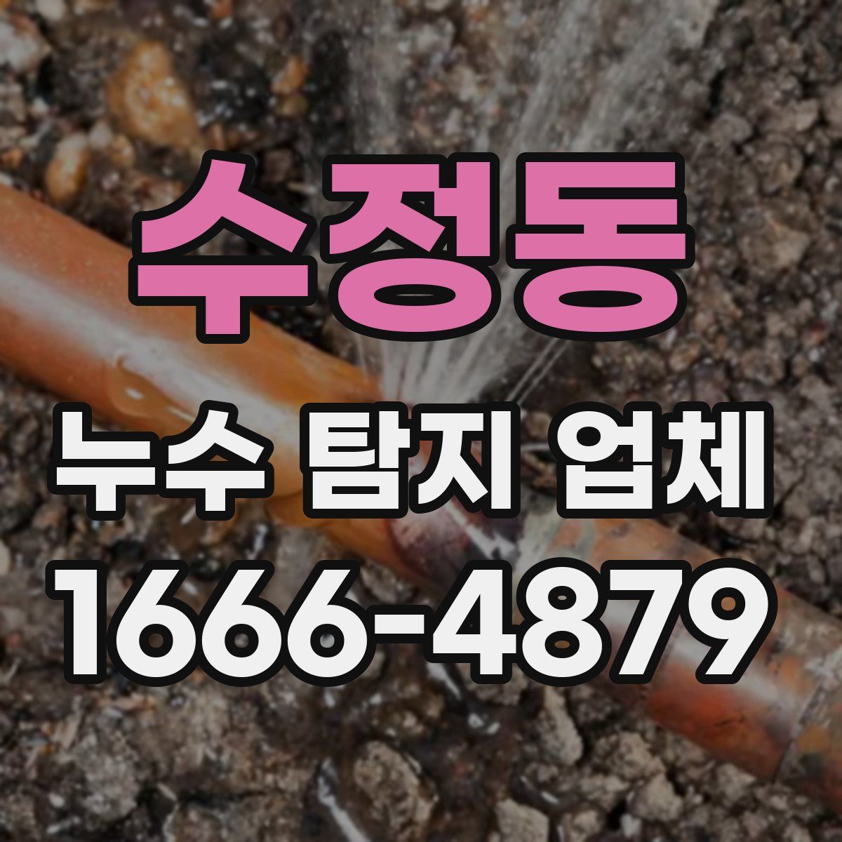 수정동 누수 탐지 업체