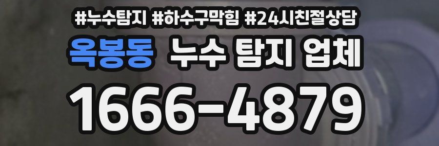 옥봉동 누수 탐지 업체