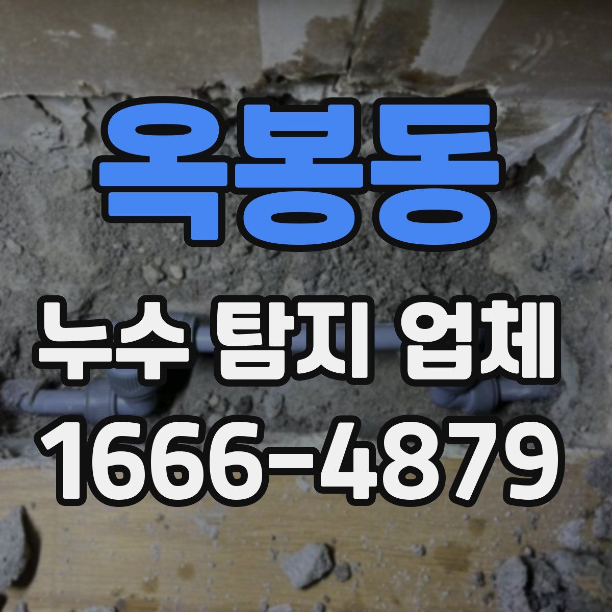 옥봉동 누수 탐지 업체