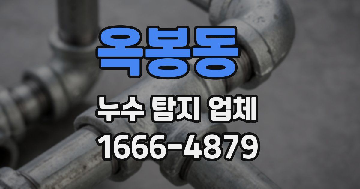 옥봉동 누수 탐지 업체