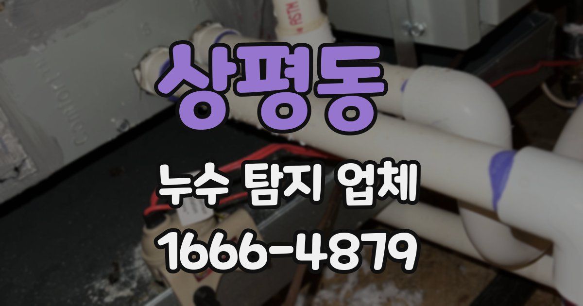 상평동 누수 탐지 업체