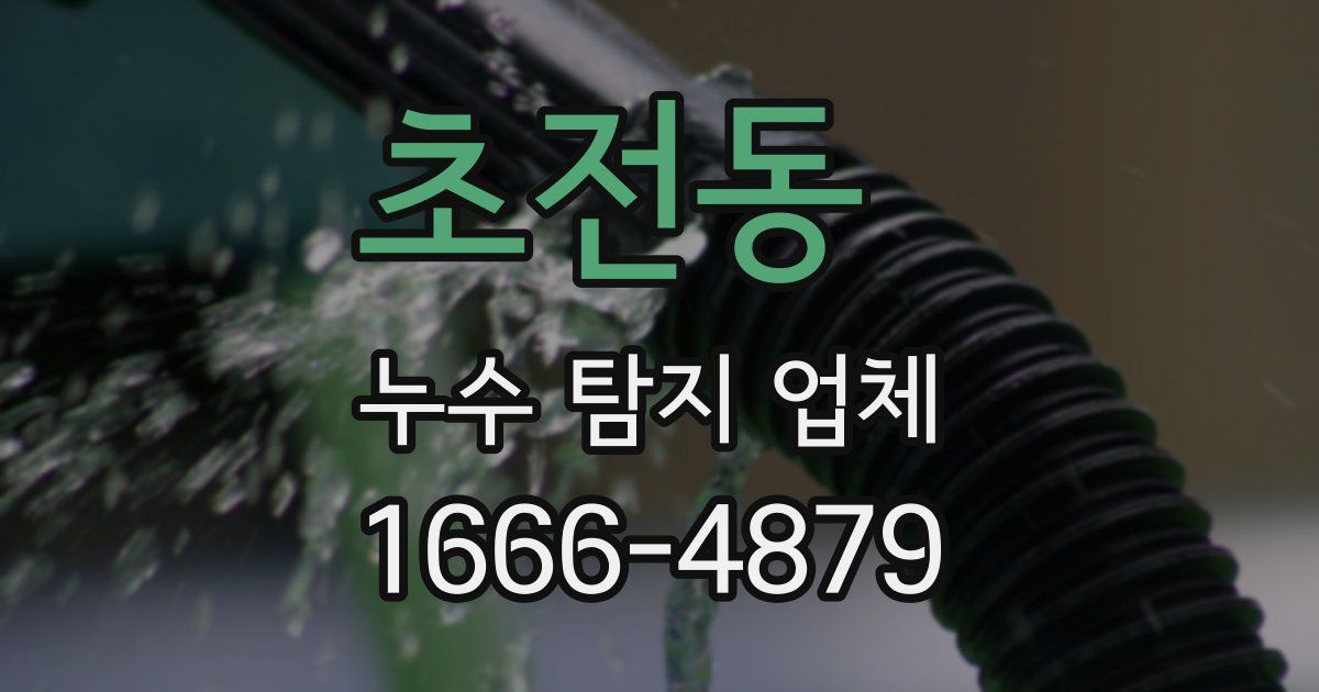 초전동 누수 탐지 업체