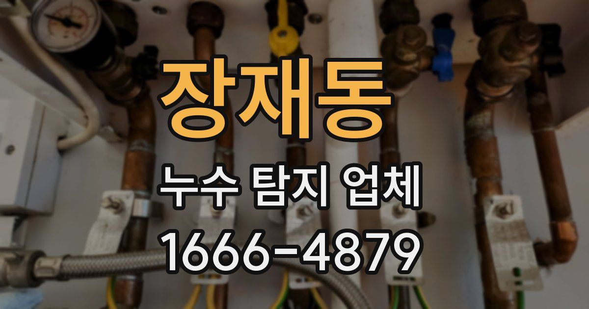 장재동 누수 탐지 업체