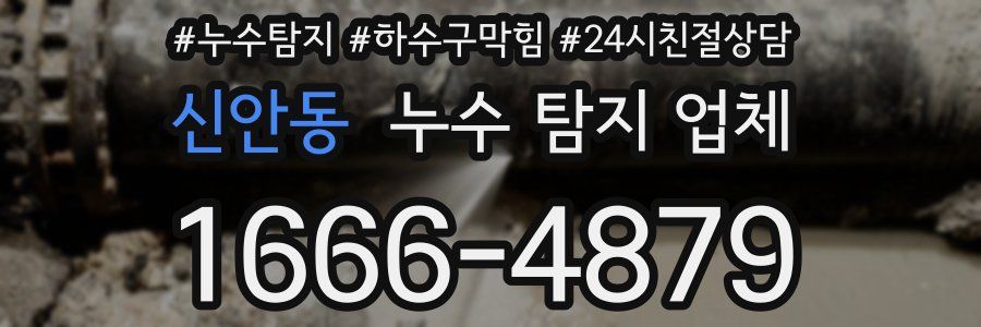 신안동 누수 탐지 업체