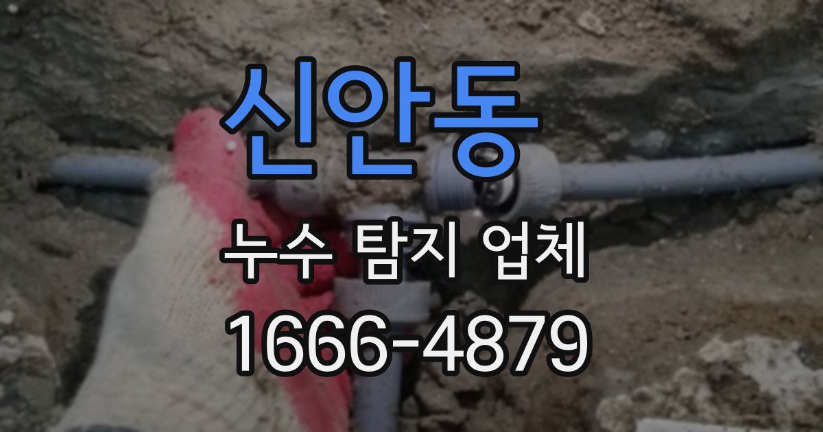 신안동 누수 탐지 업체