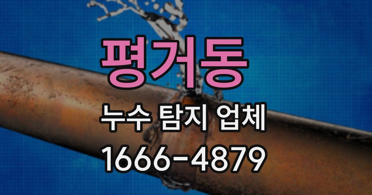 평거동 누수 탐지 업체
