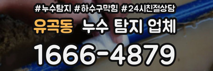 유곡동 누수 탐지 업체