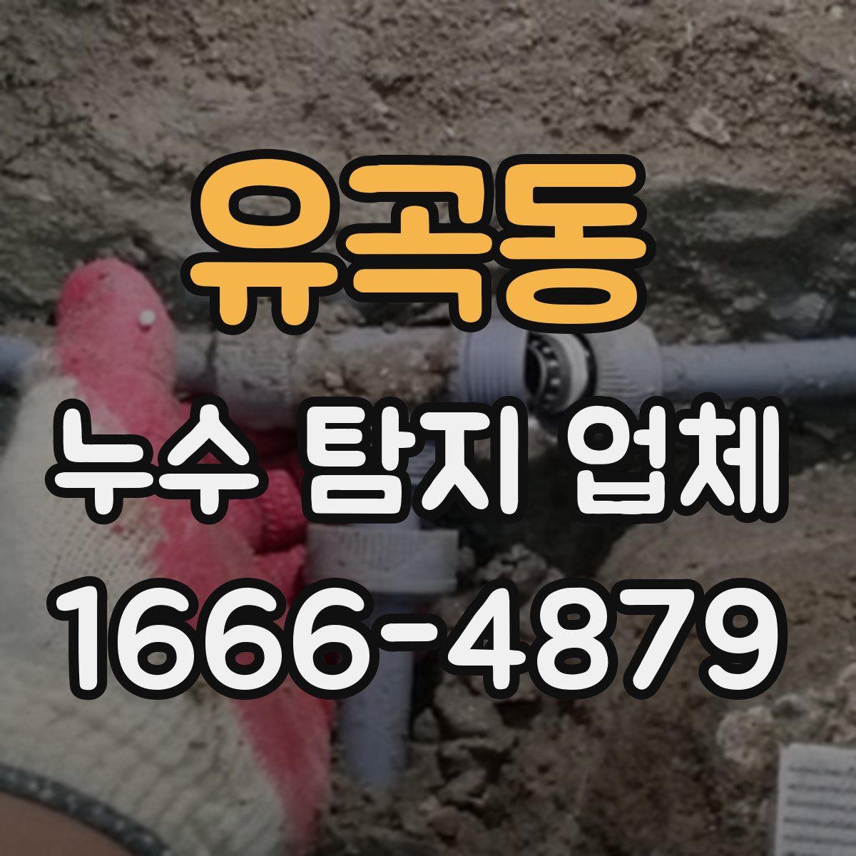 유곡동 누수 탐지 업체