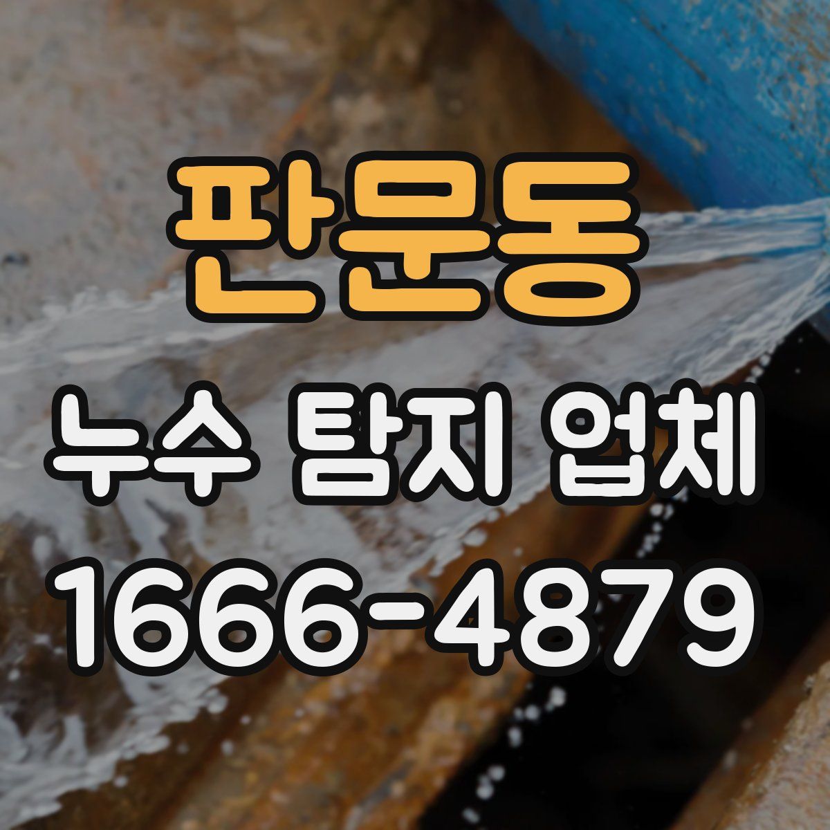 판문동 누수 탐지 업체