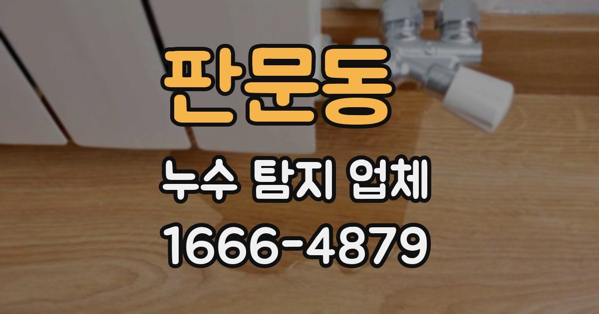 판문동 누수 탐지 업체