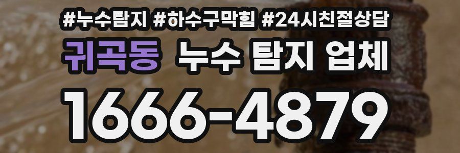 귀곡동 누수 탐지 업체