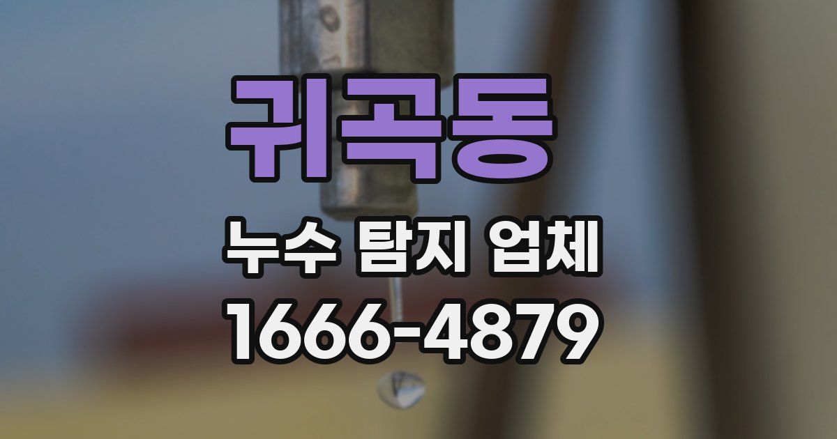 귀곡동 누수 탐지 업체