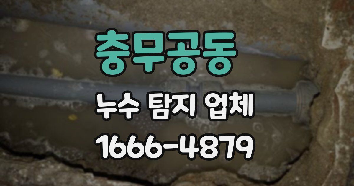 충무공동 누수 탐지 업체