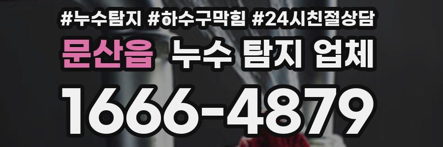 문산읍 누수 탐지 업체