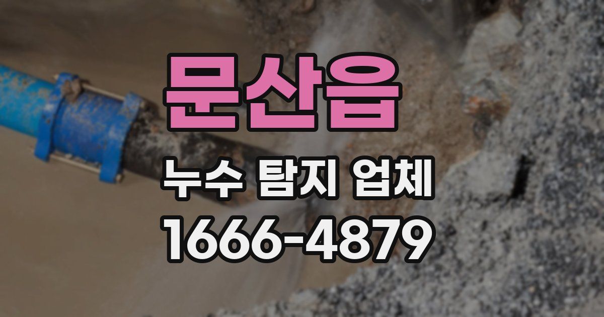 문산읍 누수 탐지 업체