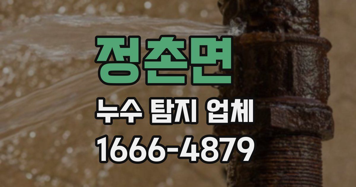 정촌면 누수 탐지 업체