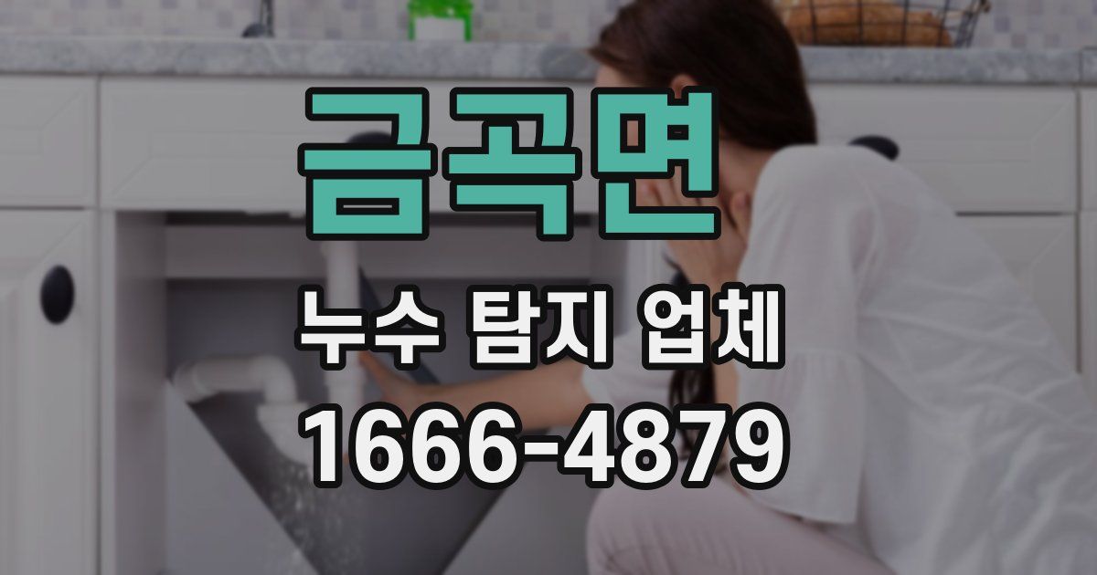 금곡면 누수 탐지 업체